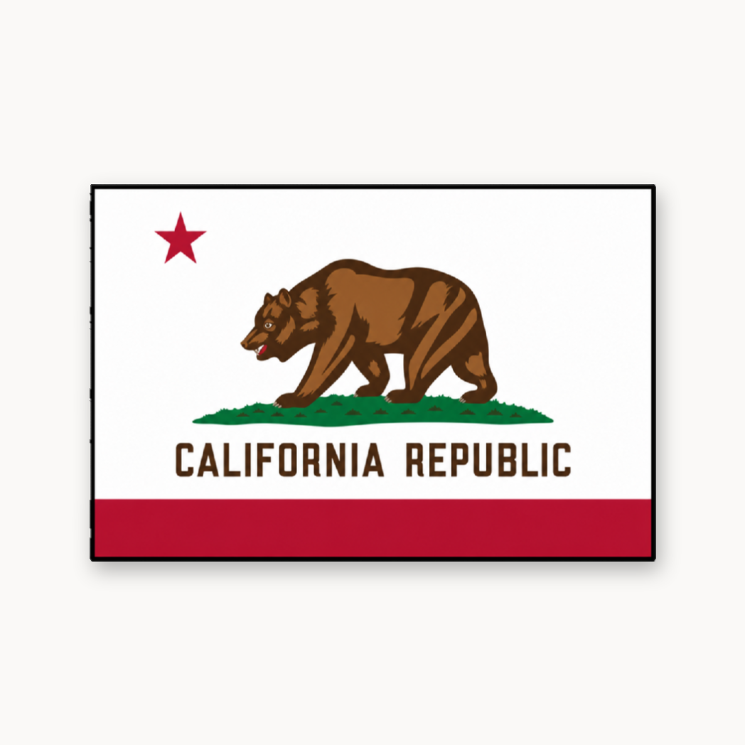 California State Flag – Leatherette Morale Patch — UV Color