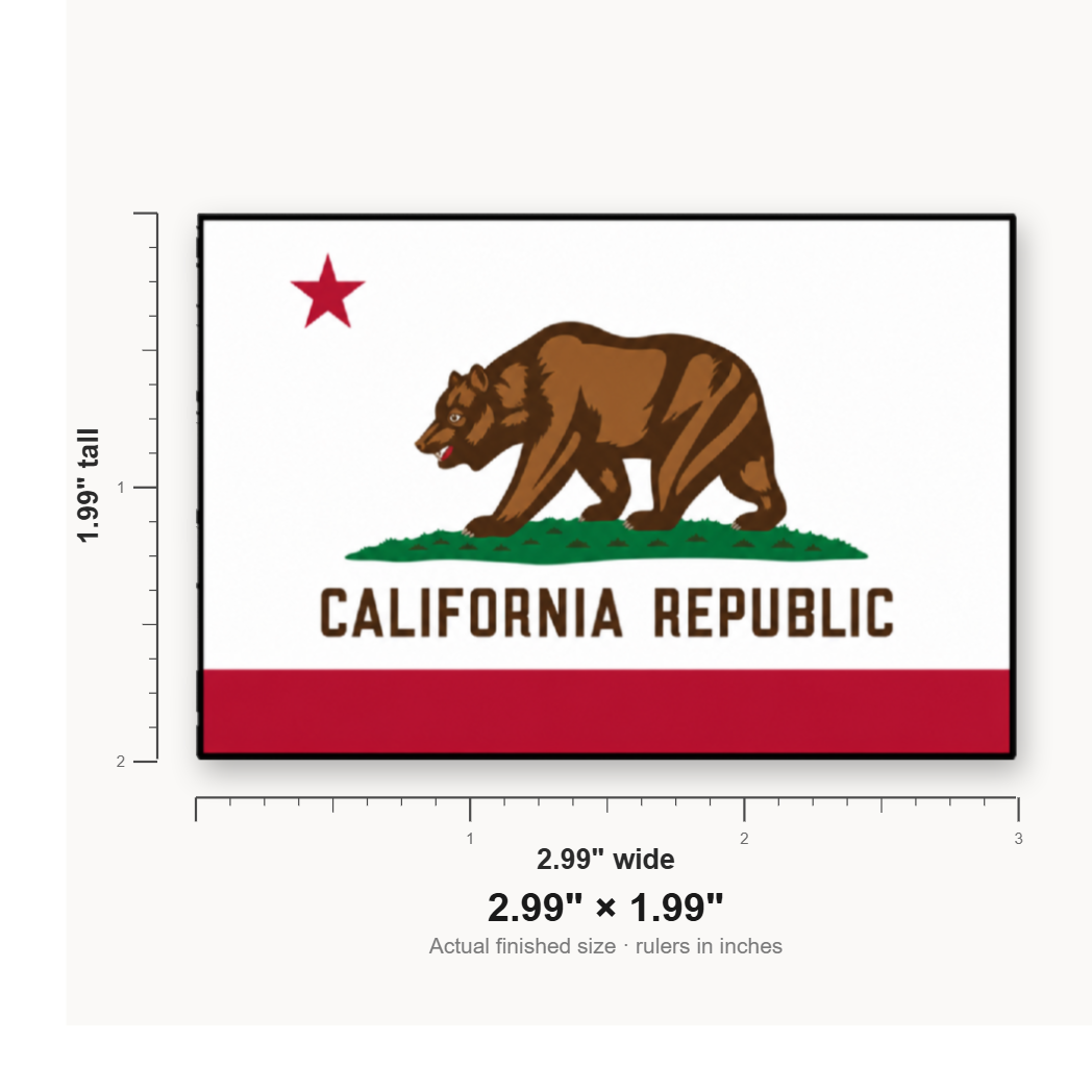 California State Flag – Leatherette Morale Patch — size guide