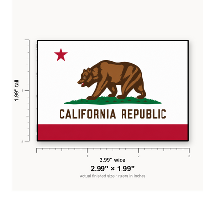 California State Flag – Leatherette Morale Patch — size guide