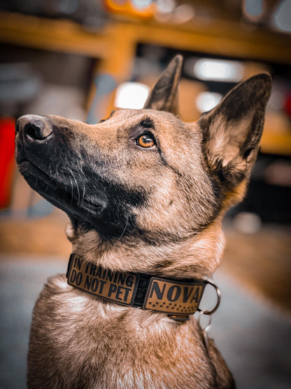 Custom Dog Collar Name Patch – Personalized ID Tag for Tactical & Service Dog Collars - Dog Patches made for Dogs - Custom Pet